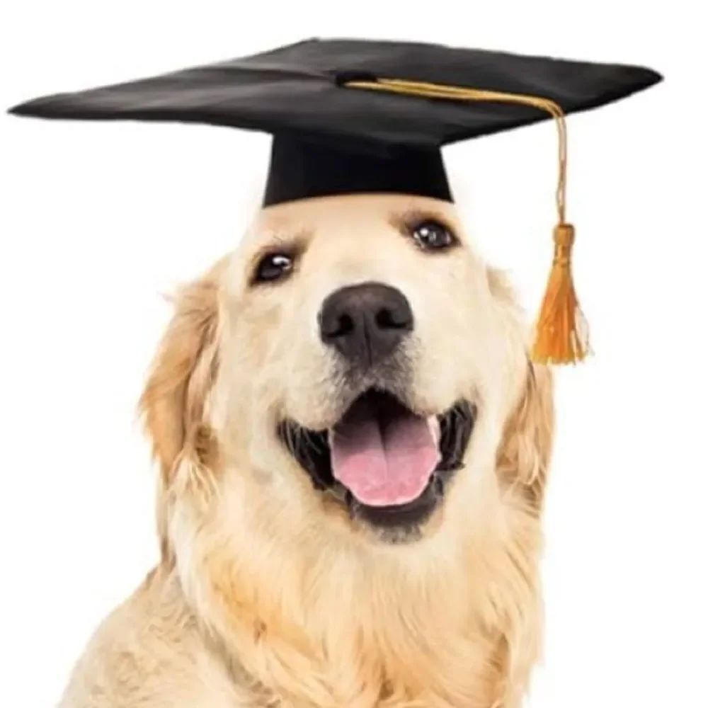 Pet Dog Graduation Cap With Tassel black